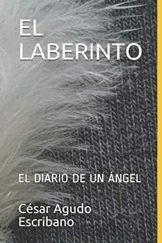 Libro: El Laberinto: El Diario De Un Ángel (spanish Edition)