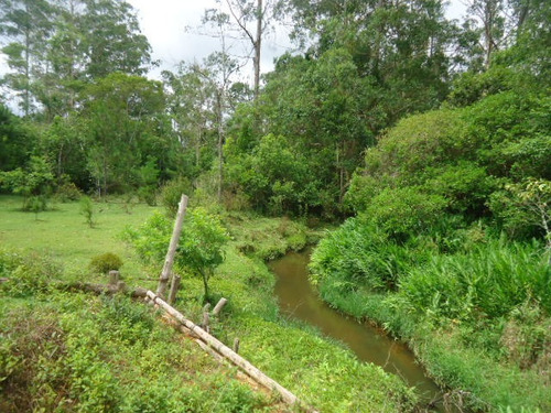 Imagem 13 de 14 de Belo Sitio Com Lagos Excelente Topografia Ref 1313