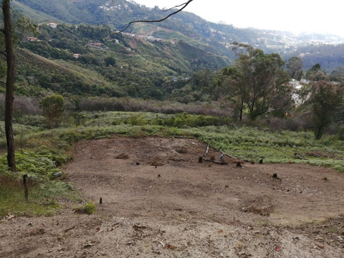 Imagen 3 de 6 de Terrenos En Venta Terreno En Club De Campo San Antonio
