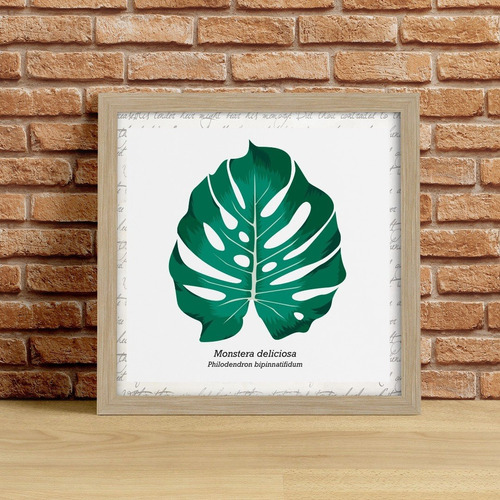 Quadro Decorativo Folha Monstera Costela De Adão - 20x20 Cm