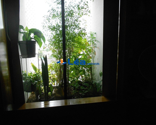 Apartamento - Ap00220 - 32156931