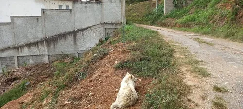 Terreno Lomas De Club De Campo