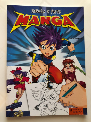 Libro Dibujo Y Pinto Manga - Excelente Estado - Oferta