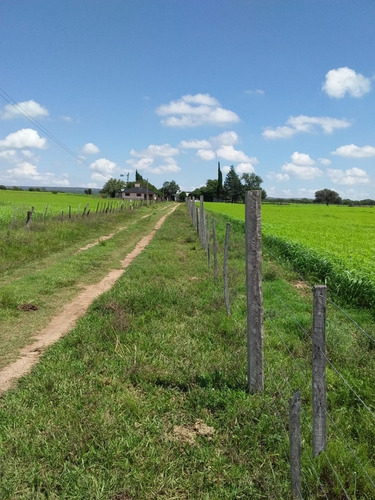 Campo De 19,3 Hectáreas Con Dos Casas Y Dos Galpones Sobre Asfalto A 15 Km De Mina Clavero