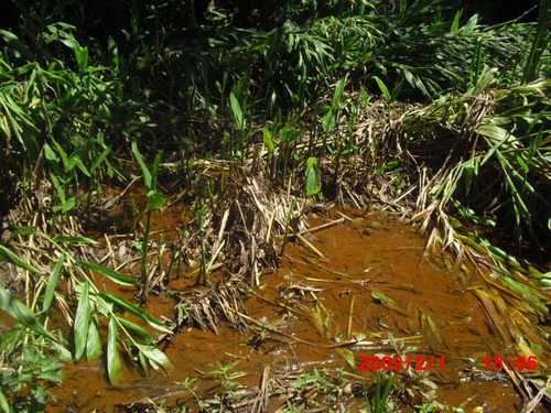 Imagem 11 de 12 de Terreno Ressaca 12000m2 Com Riacho