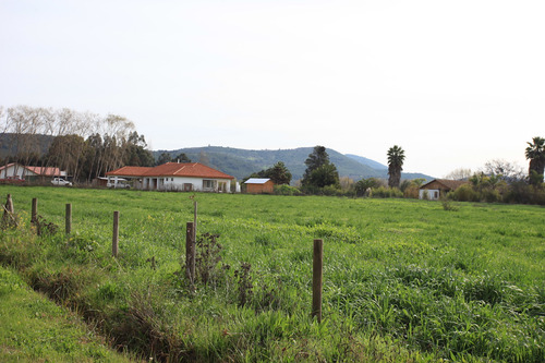 Venta Parcelas Nenquen, Santa Cruz.