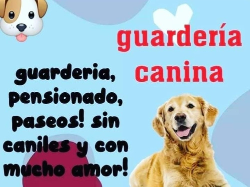Imagen 1 de 4 de Guardería Canina