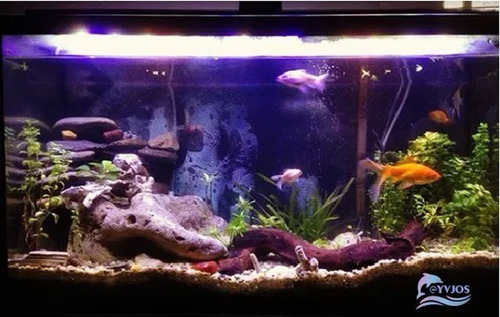 Lampara Barra Led Acuario 50-70cm 27w Maximo 1900 Lumenes