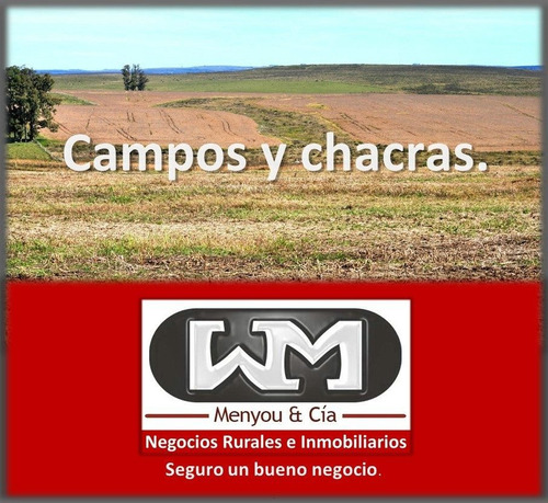Imagen 10 de 13 de Venta Compra De Campos De 200has A 2500has Forestal Ganadero