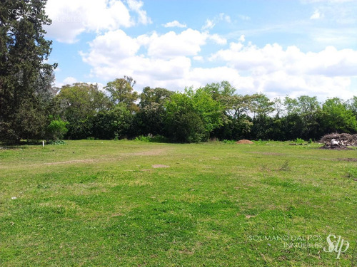 Imagen 1 de 5 de Terreno En Del Viso