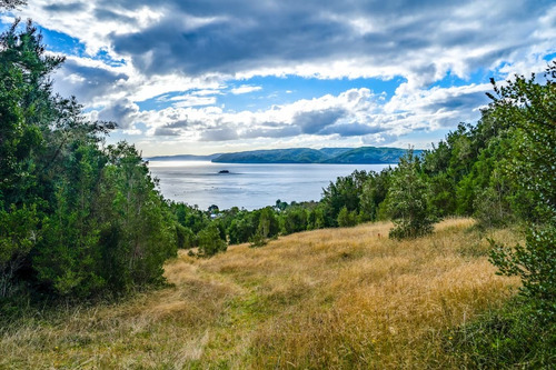 Oportunidad Parcela Vista Al Mar Isla Tranqui Chiloé