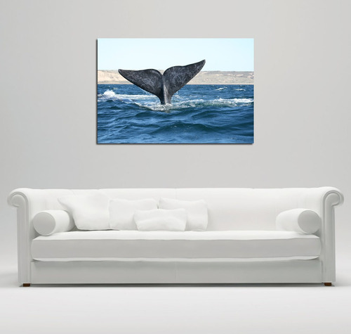 Cuadro 60x90cm Cola Ballena Oceano Fauna Marina Aleta