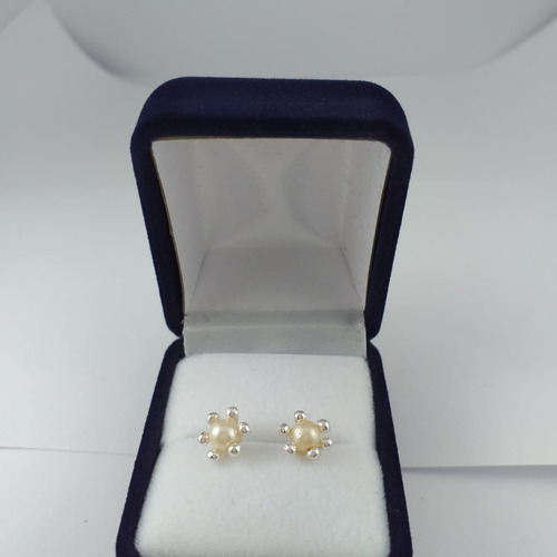 Hermosos Aros De Plata Y Perla 5 Mm En Canastillo