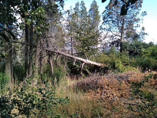 Imagen 5 de 5 de Terreno Lote En Venta Ubicado En Virgen Misionera, Bariloche, Patagonia