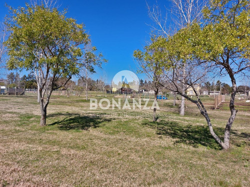 Imagen 6 de 9 de Tierra Calma. Piriápolis. Terrenos En Venta Financiados.