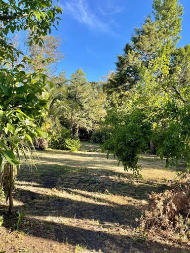 Imagen 8 de 30 de Casa Quinta Sobre Lote De 5.000 M2 La Gloria De La Peregrina