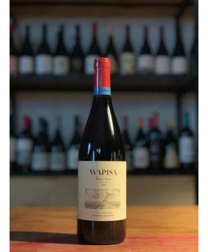 Vino Tinto Wapisa Pinot Noir Bodega Tapiz 750ml