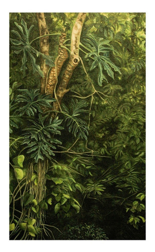Tela Raso, Rinconcito- Gabriela Celano - Cultura De La Selva