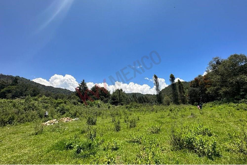 Venta De Terreno Para Para Desarrollar En Tecomatlan, Edomex. Por La Carretera Principal A Malin...