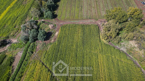 Predio De 87.8 Ha Con Derecho De Agua Y Acceso Asfaltado
