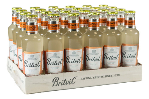 Ginger Beer Britvic 200ml Botella X24 Importada Reino Unido