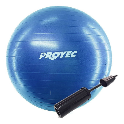 Pelota Esfera Esferodinamia Pilates 75 Cm Yoga Proyec + Inflador Esfera
