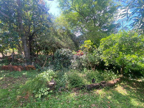 Imagen 8 de 16 de Amplia Casa En Venta Con Gran Terreno.