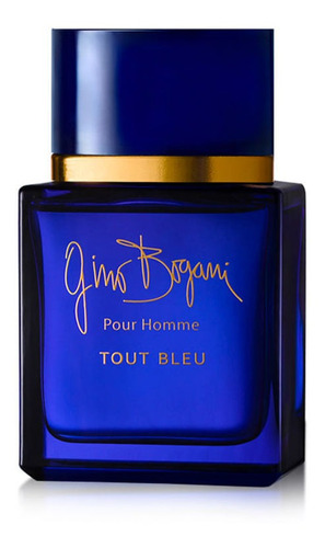 Perfume Importado Gino Bogani Tout Bleu Edt 60 Ml
