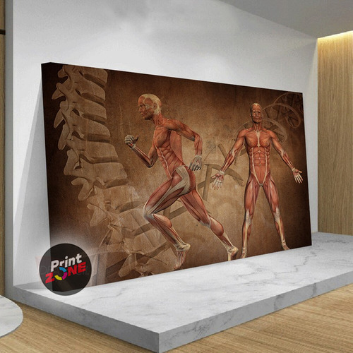 Cuadro Decorativo Canvas Mega Fisioterapia 140x90 Mfs3