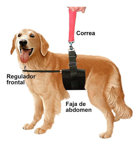 Arnes Perros Ayuda Ortopedia Displacia Cadera Rehabilitacion