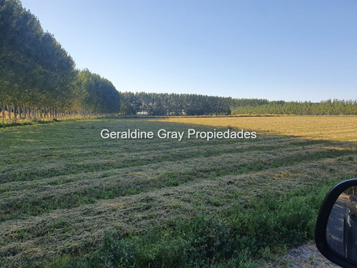Campo En Venta De 70 Has Ubicado En Tratayen