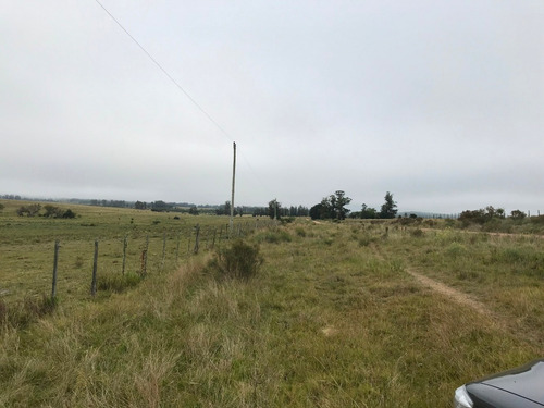 Buen Campo De 14.5 Has Proximas A Aigua - Cañada Y Monte