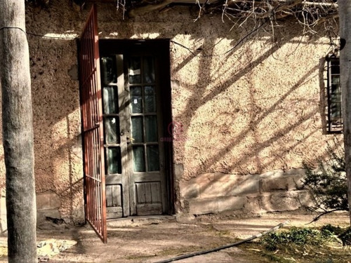 Imagen 15 de 19 de Greenwood Vende Hermosa Finca Con Viñedos, Casa, Galpon Y Pozo Para Riego