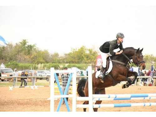 Imagen 5 de 9 de Rbs. Hermoso Lote En Barrio San Sebastian, Area 13!