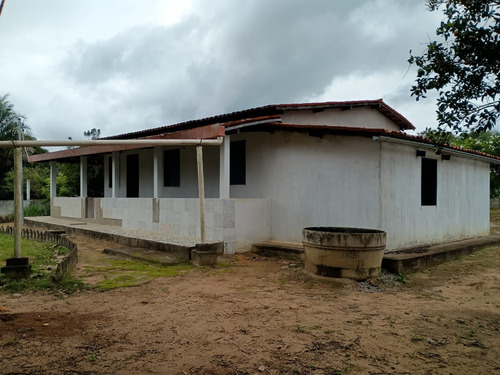Chácara Com Casa Três Quartos Sala De Estar Cozinha E Dois B