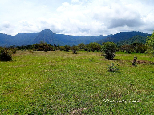 Increíble Terreno Con Manantial