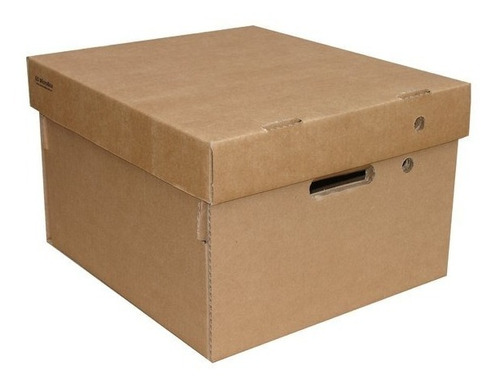 Caja Archivo Carton Con Tapa Pack X Unidad Gs Microbox