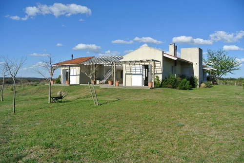 Campo - Tarariras