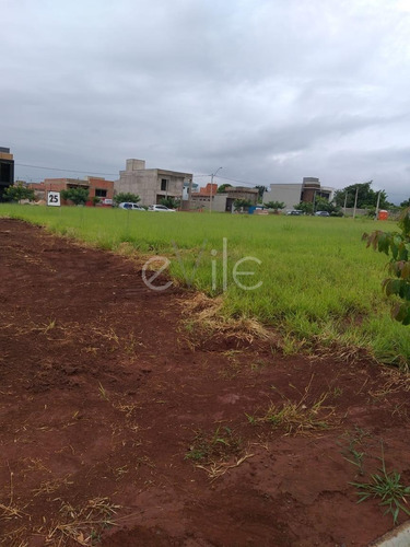 Imagem 1 de 6 de Terreno À Venda Em Vila Monte Alegre - Te008761