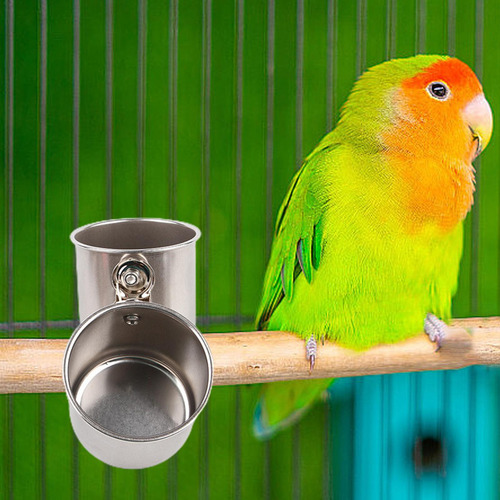 Tazas Para Platos De Alimentación De Pájaros Cuenco De Comid