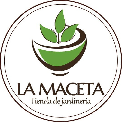 Imagen 2 de 2 de Macetas N° 8 Plástico X 50 U. Ideal Mini Cactus Y Suculentas