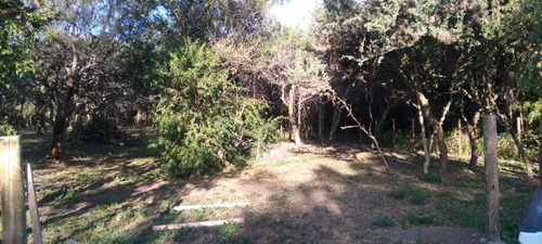 Imagen 5 de 5 de Excelente Lote En Venta En Carpinteria.