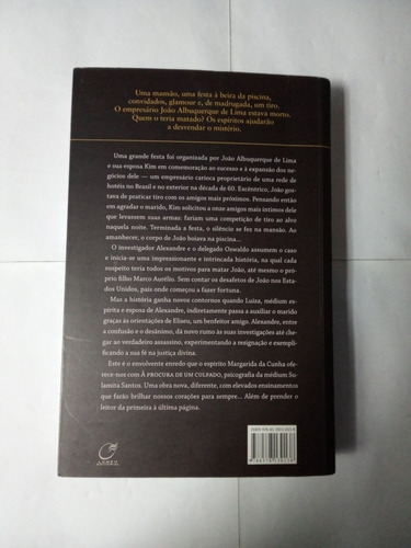 A Procura De Um Culpado, Romance Espírita (Usado)