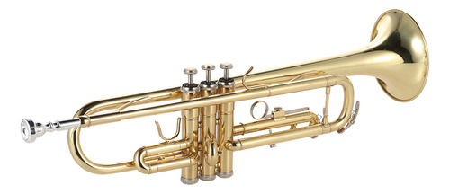 Brass Instruments Bb, Trompeta Duradera De Latón Pintado En