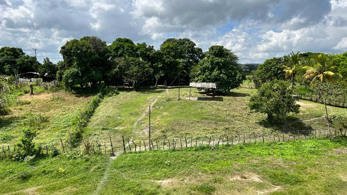 Agropecuaria Prima Rosa En Venta. (nc)