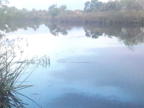 Imagen 9 de 19 de 1086- Venta Campo 136 Hectareas En Estacion Solis Minas Lavalleja