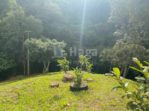 Imagem 26 de 30 de Sítio À Venda No Bairro Limeira - Brusque/sc - 2014
