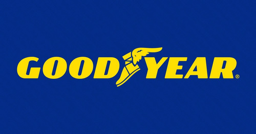 205/55 R 16 Efficient Grip Rof * Promoción * Goodyear 2013