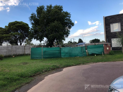 Imagen 1 de 6 de Terreno - Nuevo Pilar