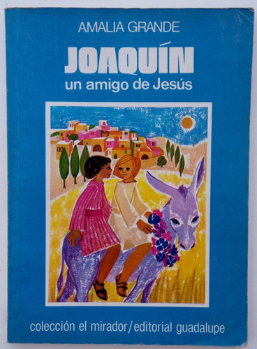Joaquín Un Amigo De Jesús Amalia Grande Ed Guadalupe Libro